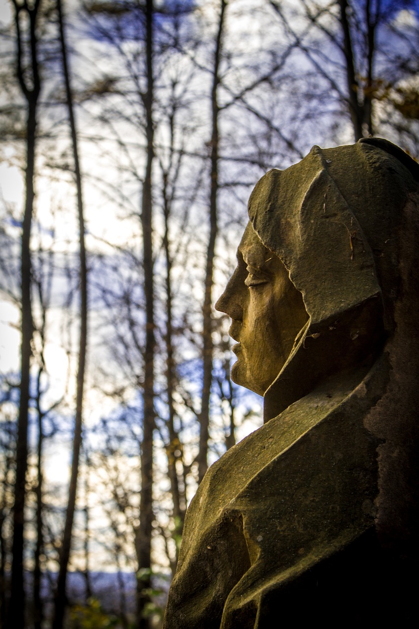 安新在線最新動態(tài),引領新時代的變革與發(fā)展