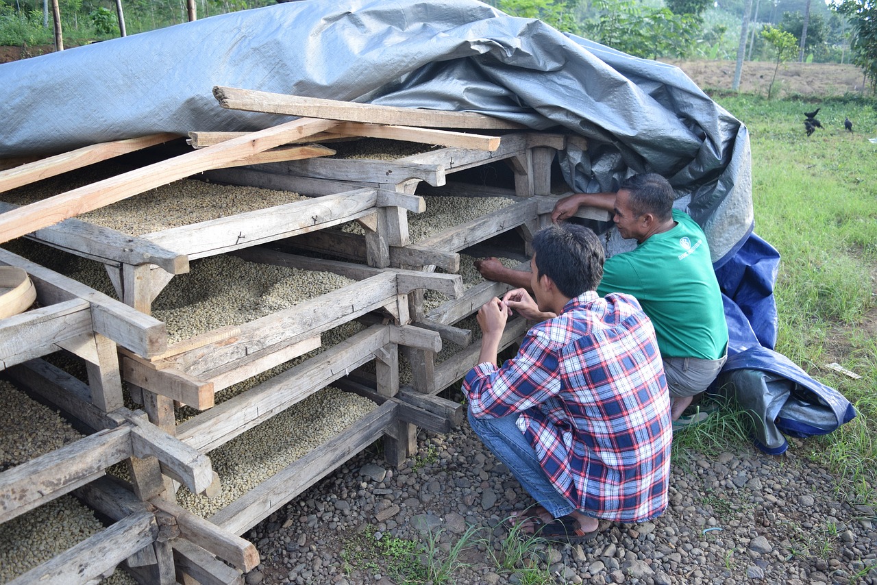 龍景花園最新房價動態及市場洞察報告