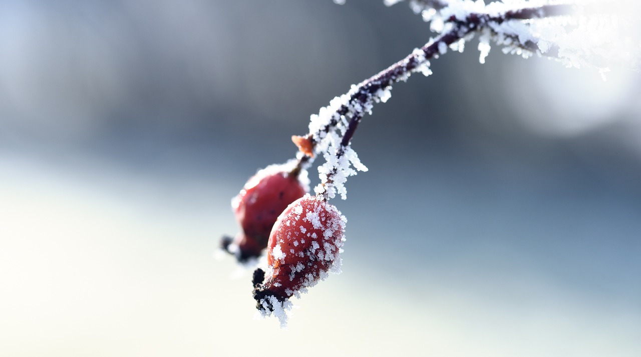 韶柳鐵路最新動態解析,全面解讀最新消息