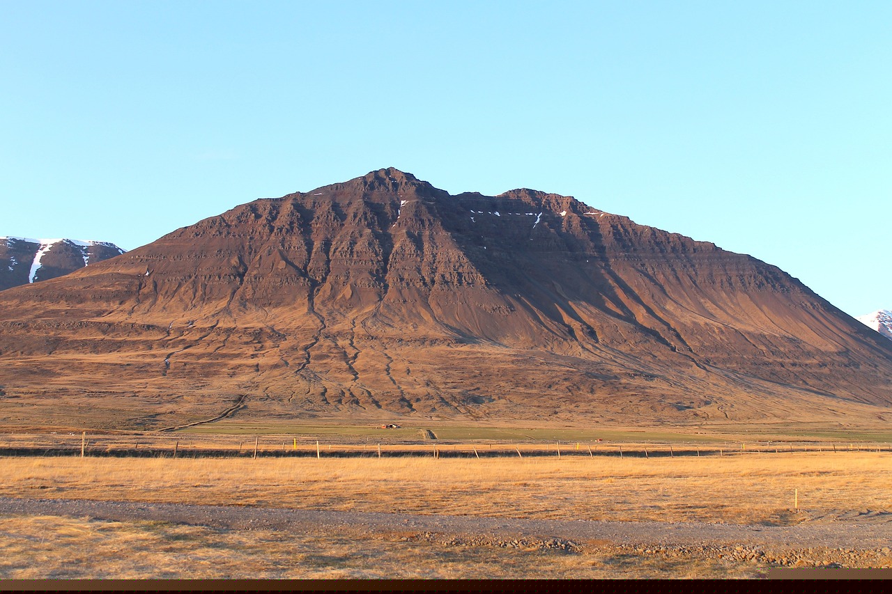 張慶軍最新動態,多重身份與輝煌成就揭秘