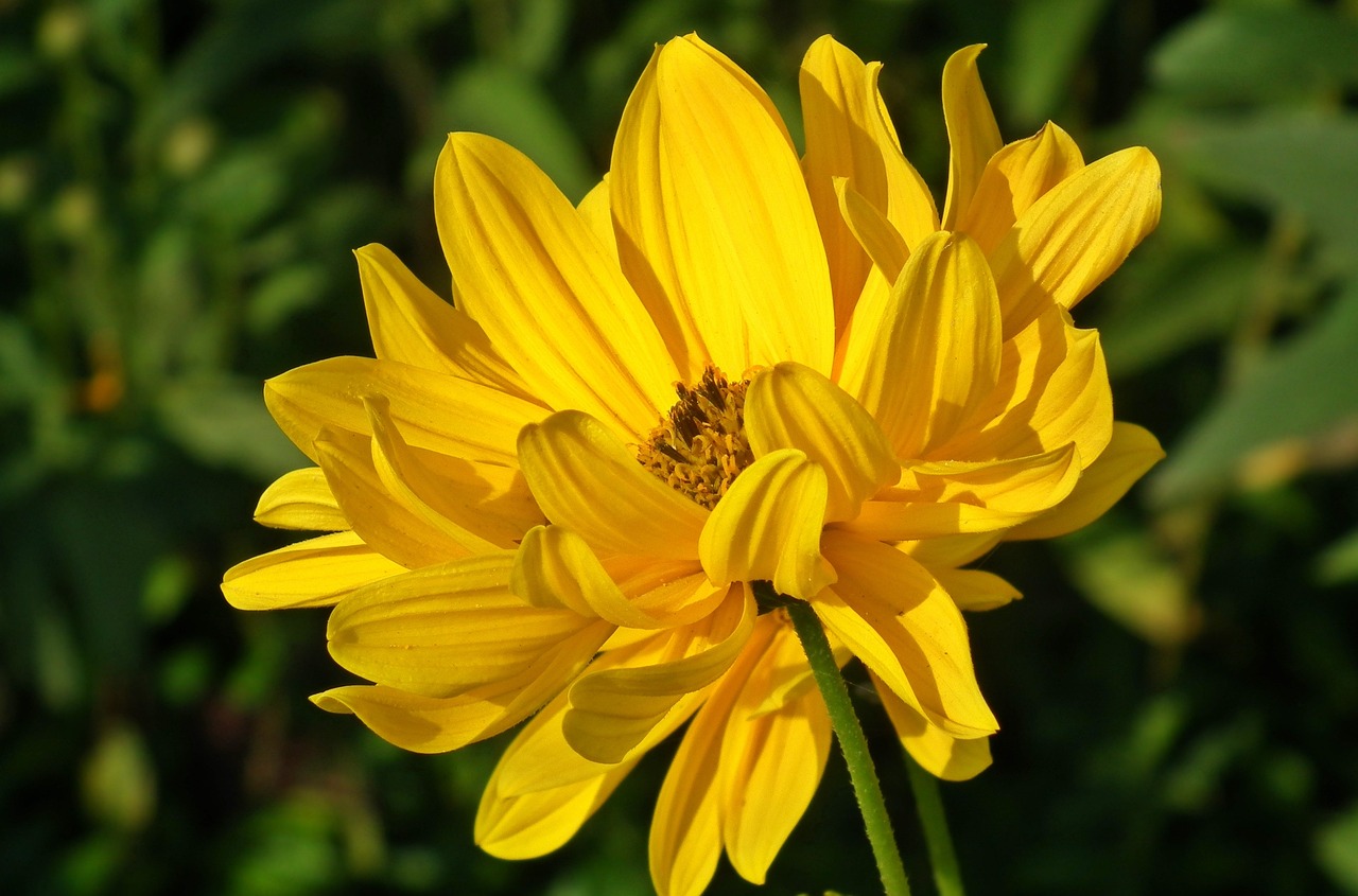 高明區最新人事任免動態更新