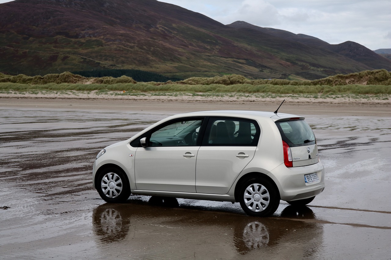 岳長高速最新動態,全面解讀進展、規劃與未來展望