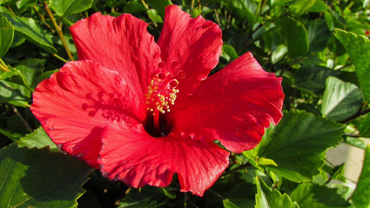 佛山市最新人事任免動態與深遠影響分析