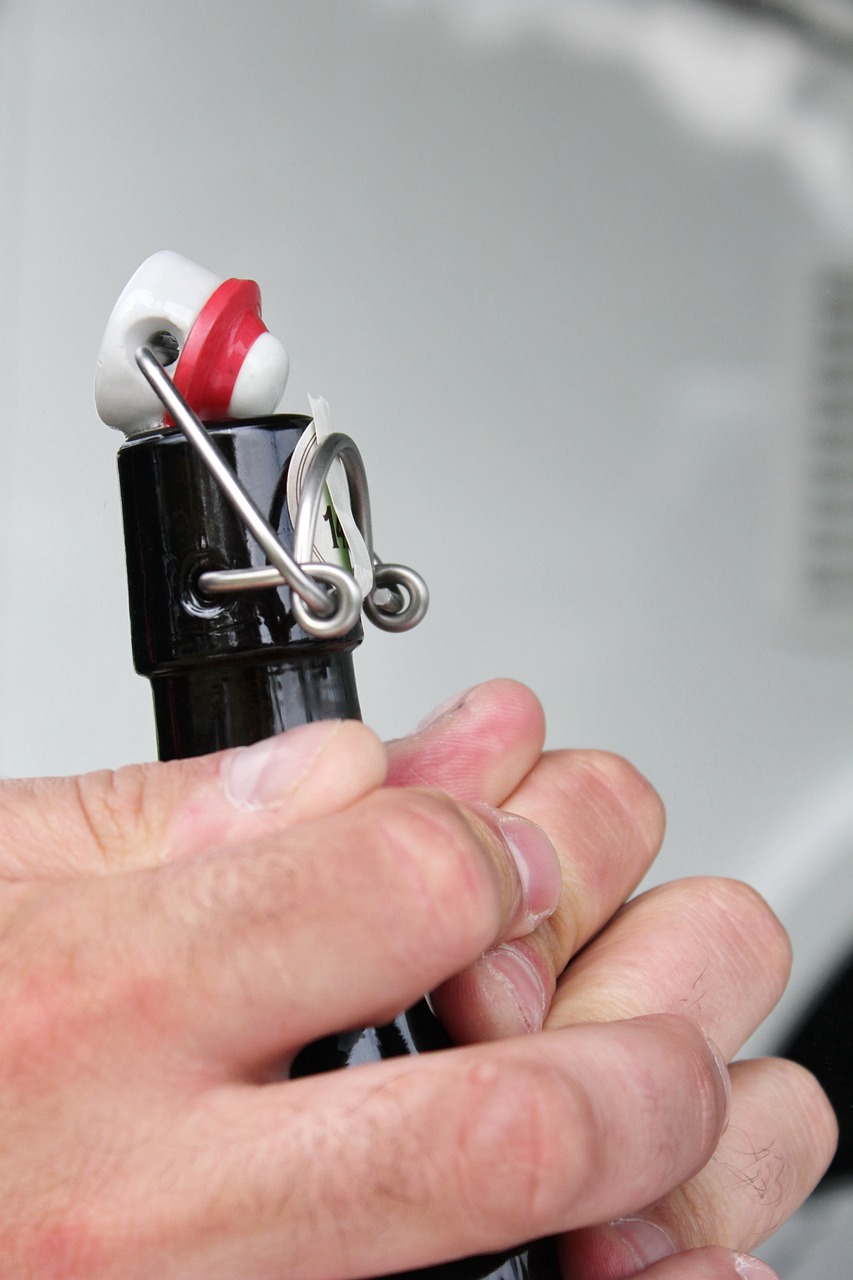 懶懶小獸妃最新章節探秘,揭秘小獸妃的最新動態