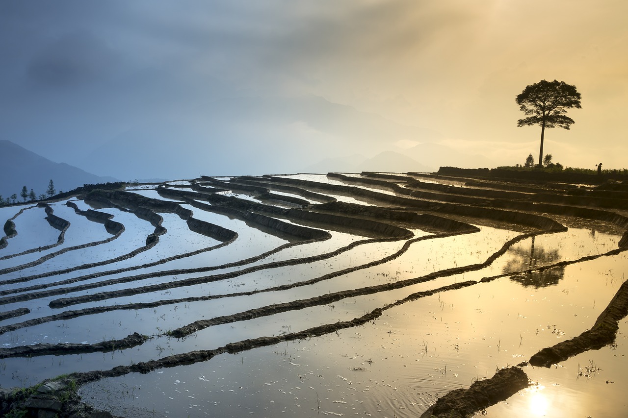 國營農(nóng)場最新土地政策,探索與實踐之路