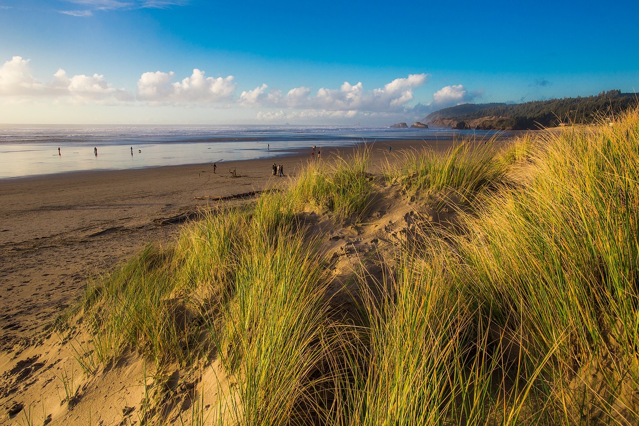 江蘇南通通州最新招聘動態及其地區影響概述
