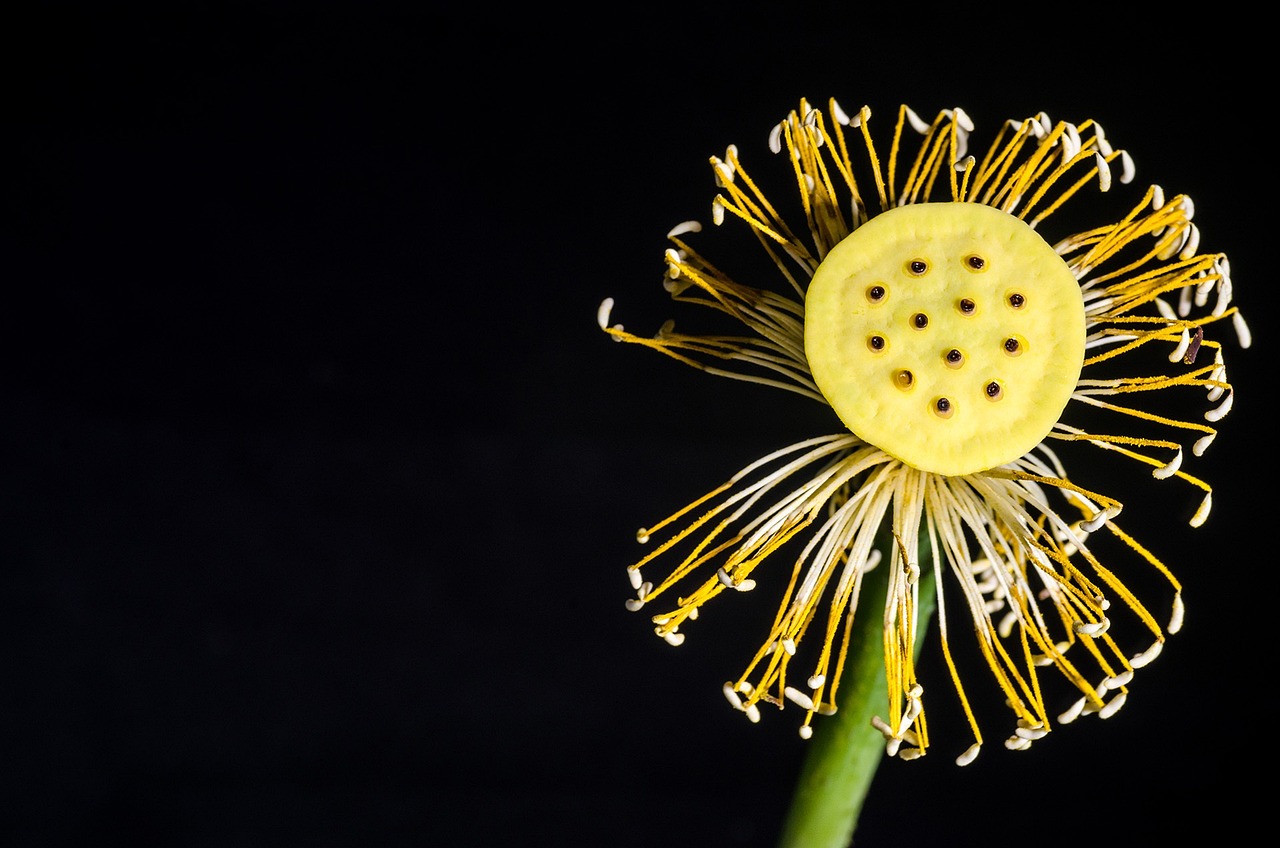 墨荷名邸最新動態(tài)揭秘,未來精彩篇章揭曉