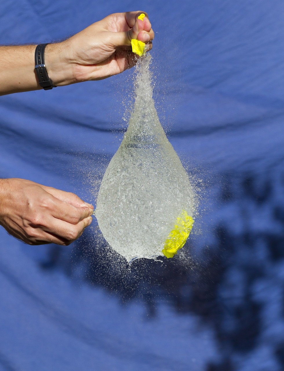 萊西人才網最新招聘動態,職位信息更新及其影響