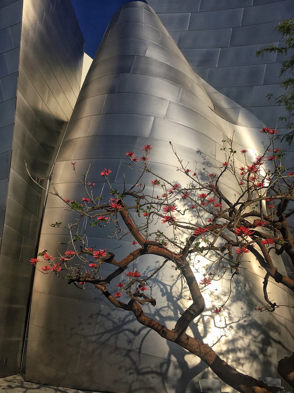 邯鄲漢霸莊最新動態(tài),城市發(fā)展脈絡(luò)與未來展望