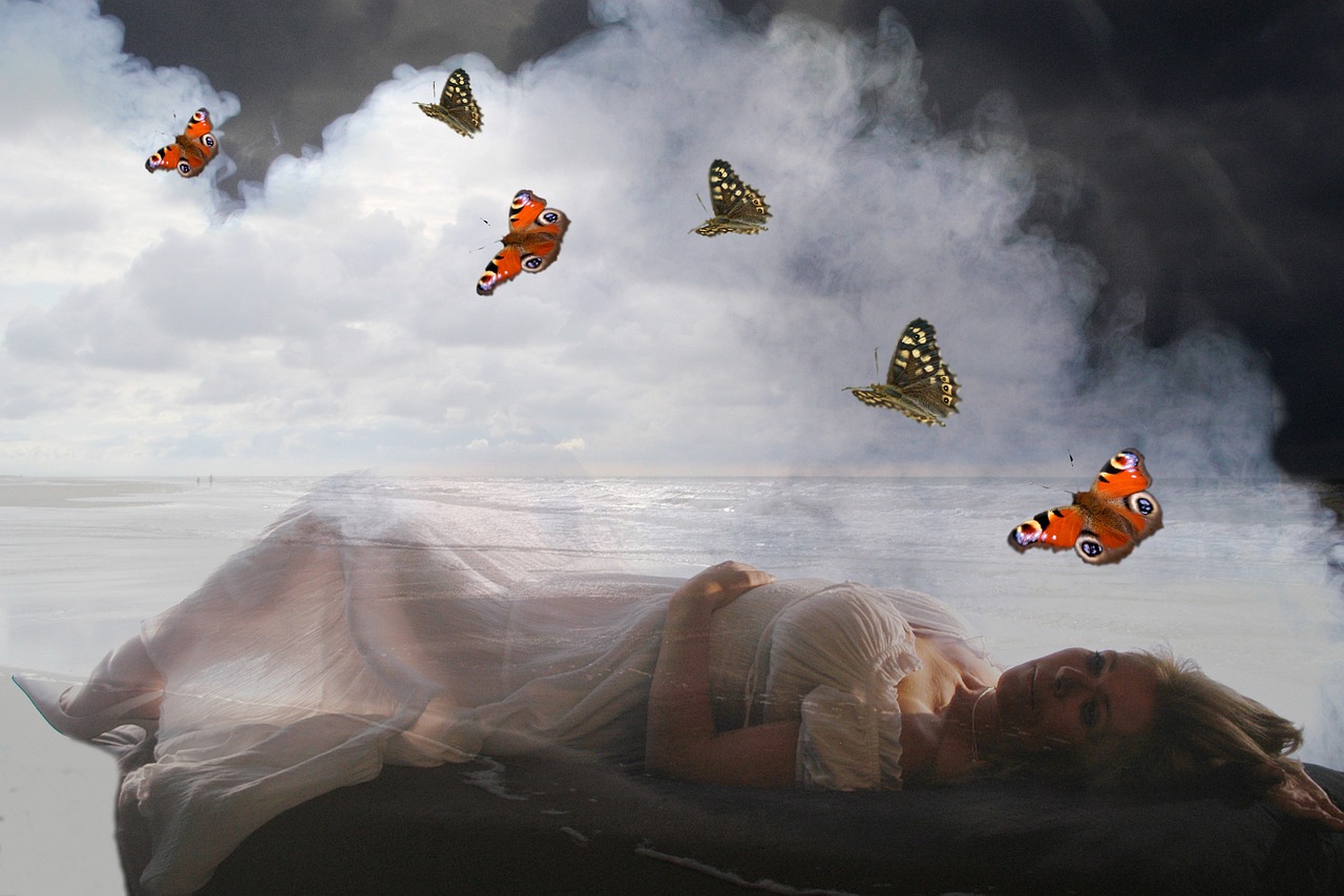 北侖人才市場最新招聘動態深度解析與求職指南