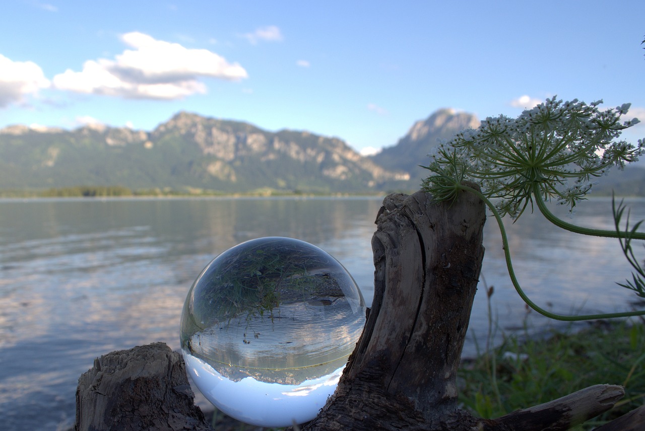 成都江安湖生態修復與未來規劃展望最新消息揭秘