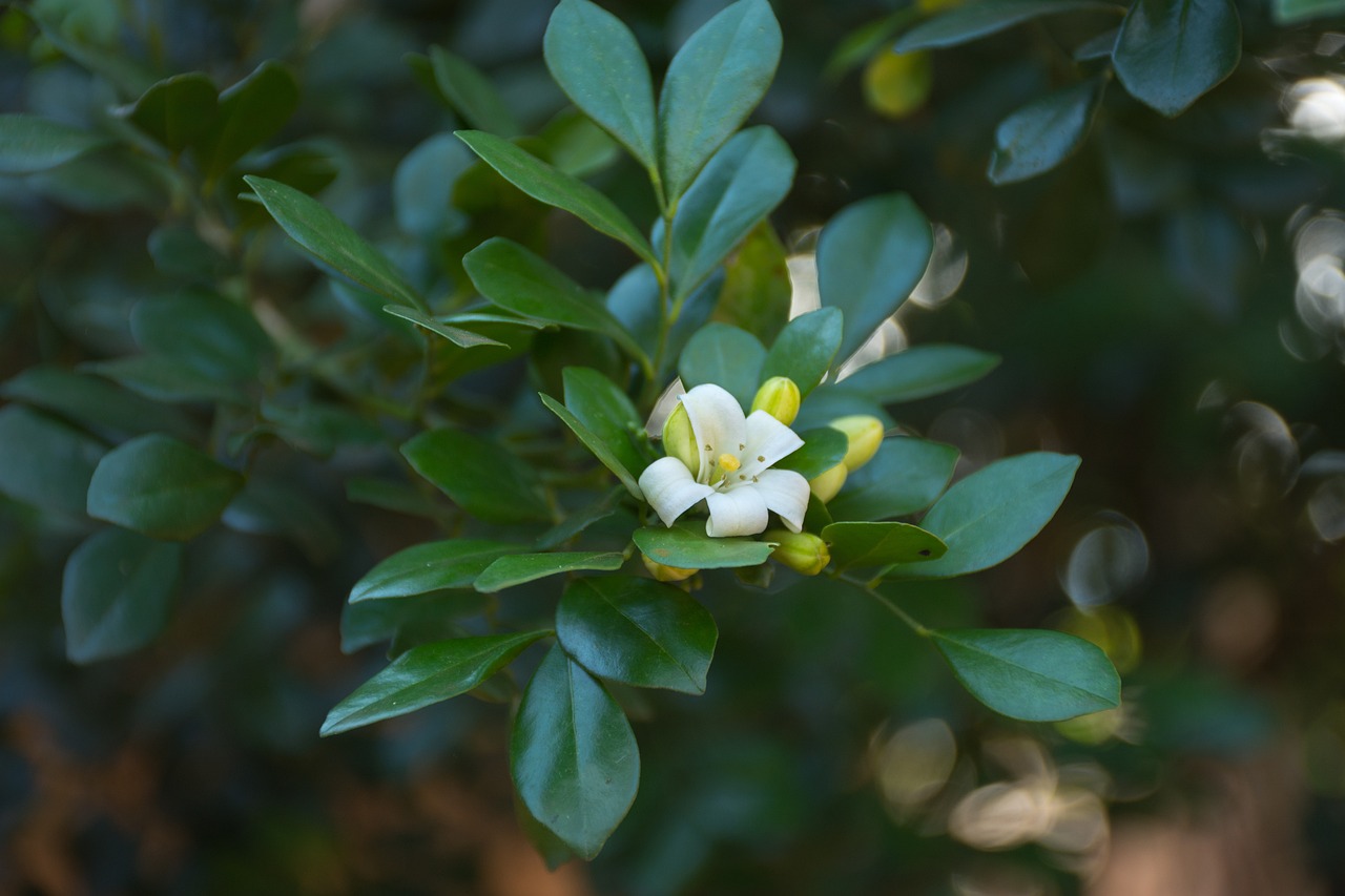 溧陽二十八所最新招聘動態及影響分析