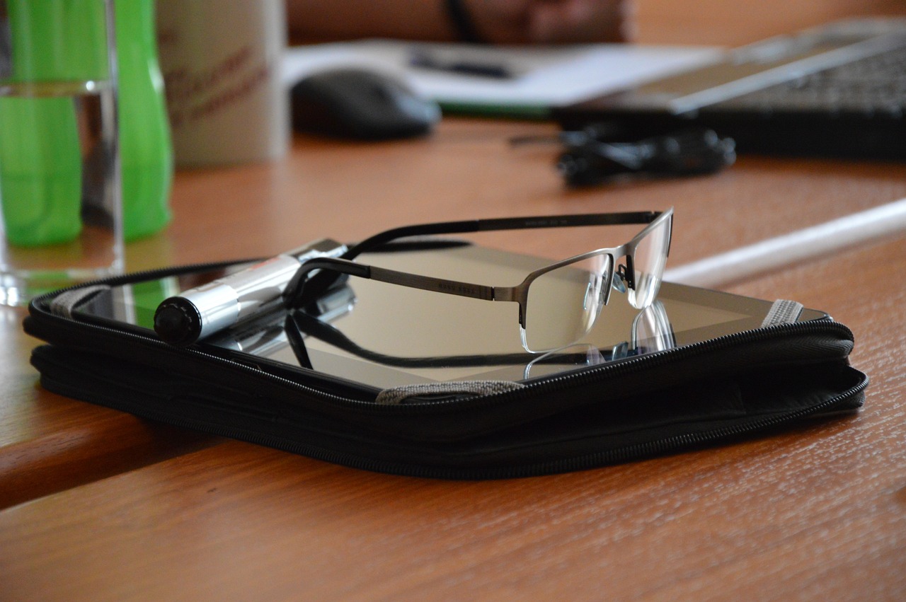 荷蘭大熊貓最新動態,友誼使者與和平的象征更新揭秘