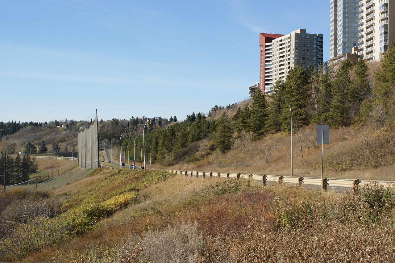 濟南道路規劃最新動態,打造現代化城市交通格局的進展與消息更新