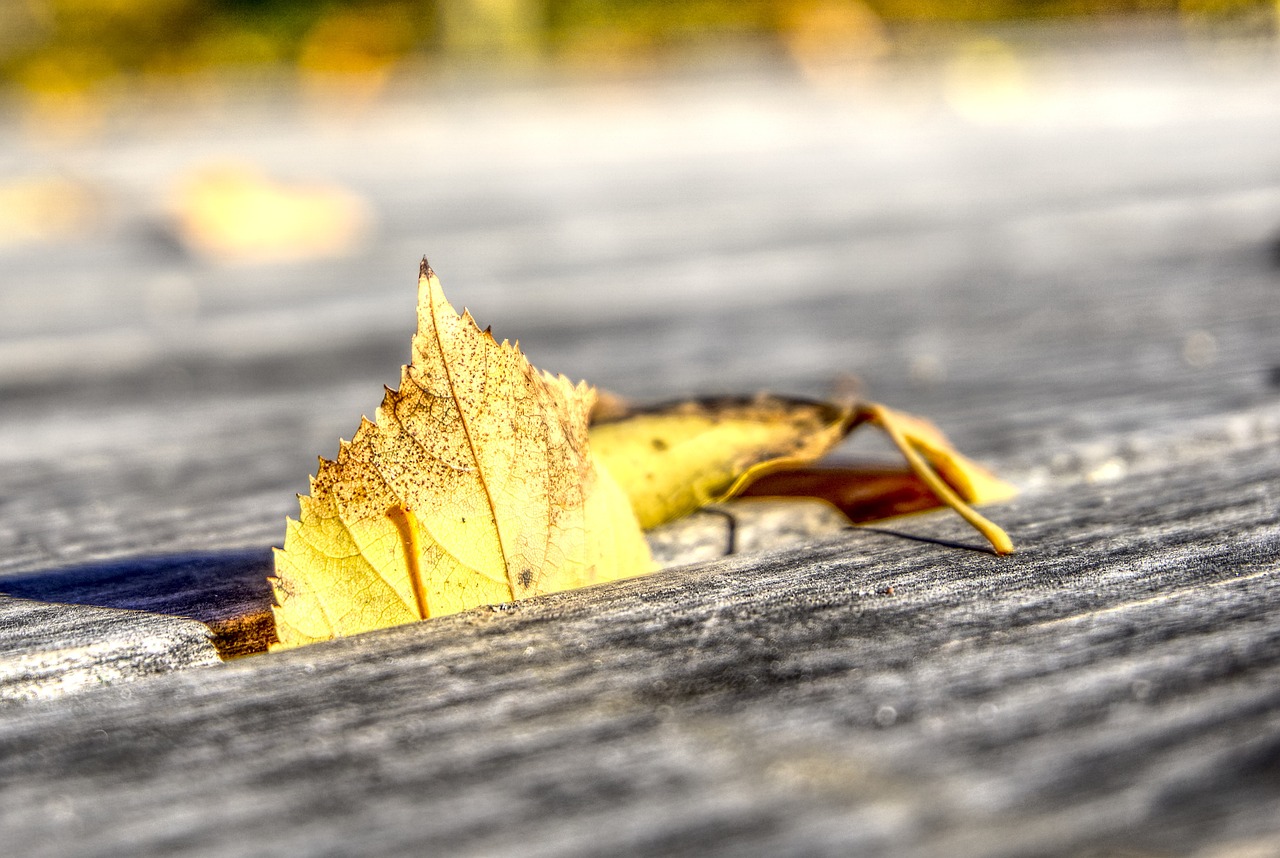 瓦房店趕集網最新招聘動態及分析概覽