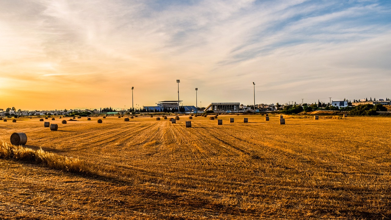解讀與探討，農村土地征用最新政策規定及其影響分析