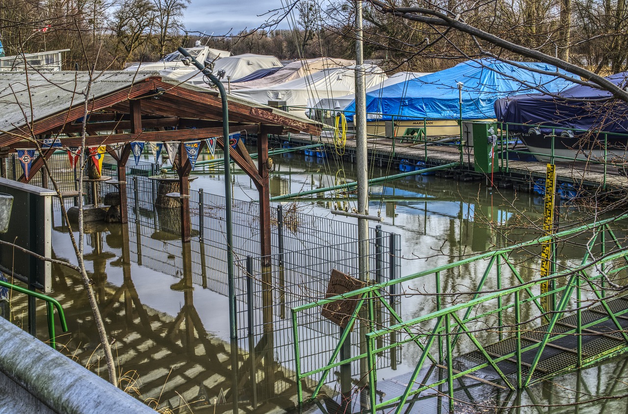 火影端最新動態深度解析與最新資訊