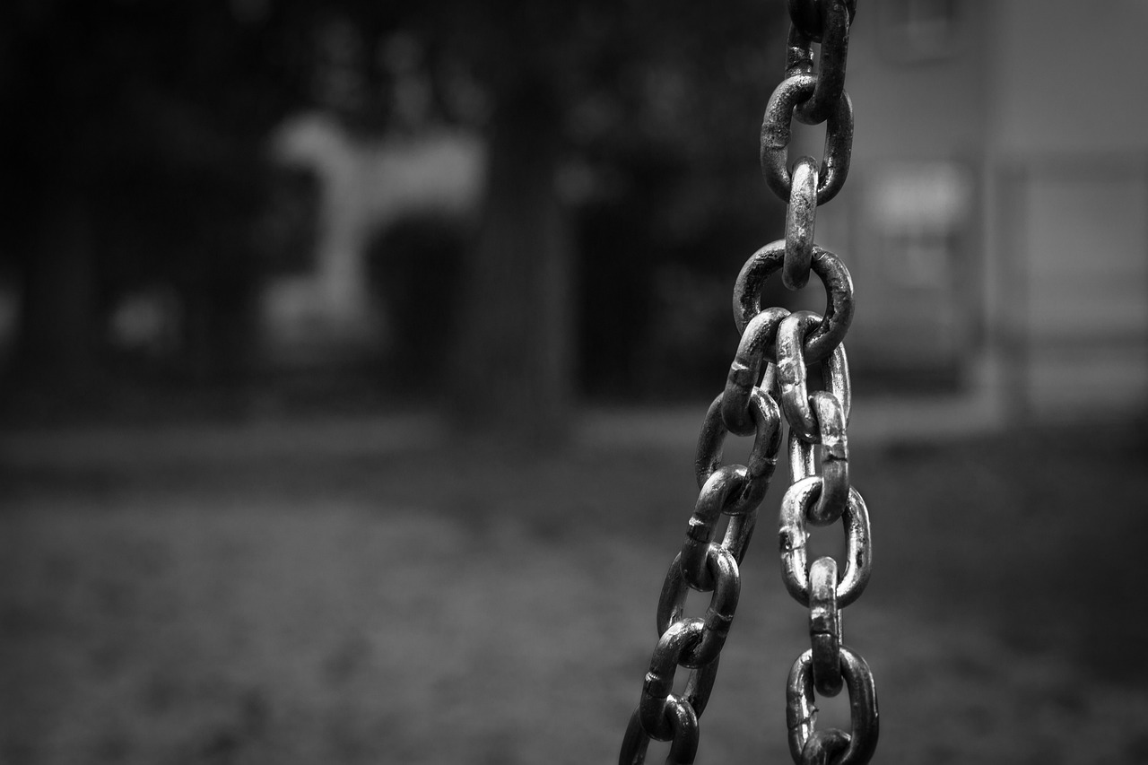 最新塔吊新聞,行業發展趨勢、技術創新與市場動態概覽