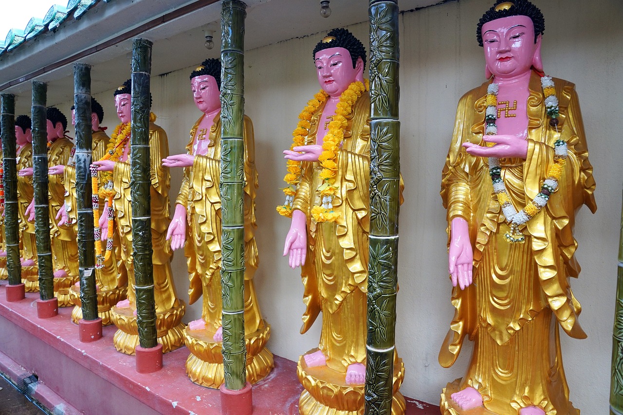 揚劇最新視頻,傳統藝術的數字化呈現之旅