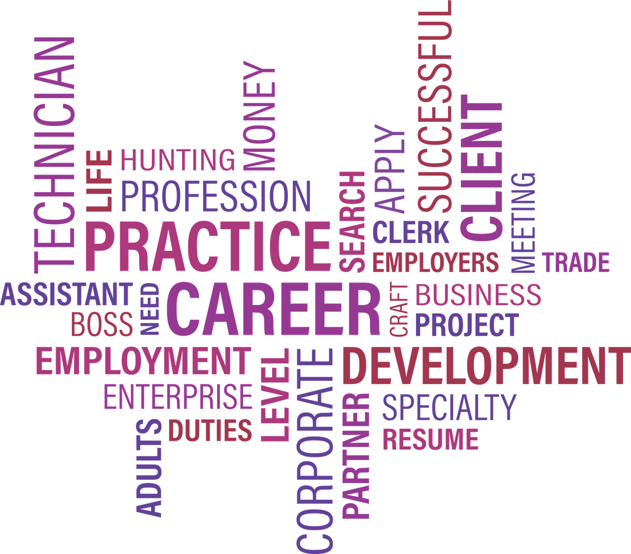 最新掛面招聘信息與行業人才發展趨勢深度解析