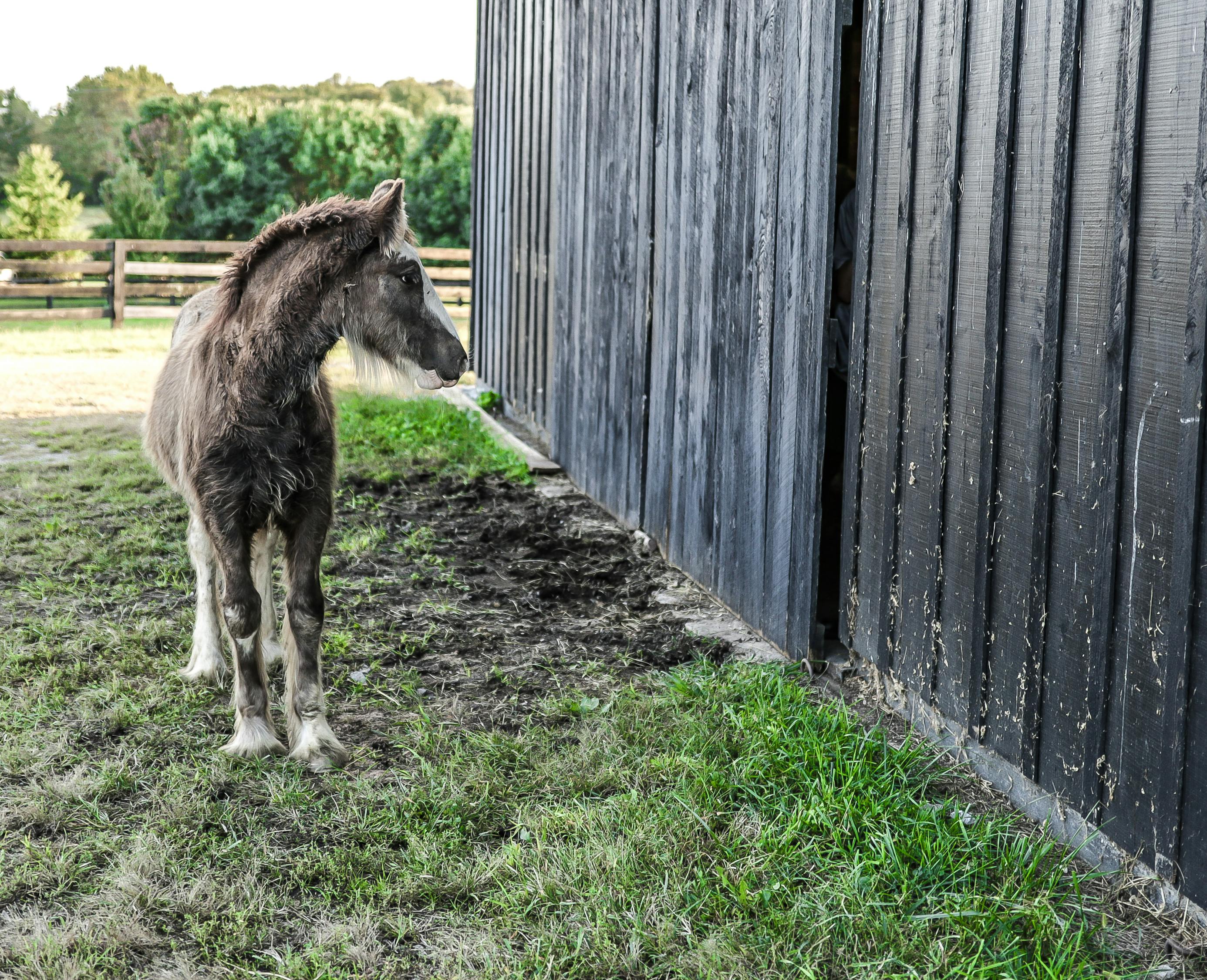 丹東最新雨情動態,城市變遷與雨中情感交織