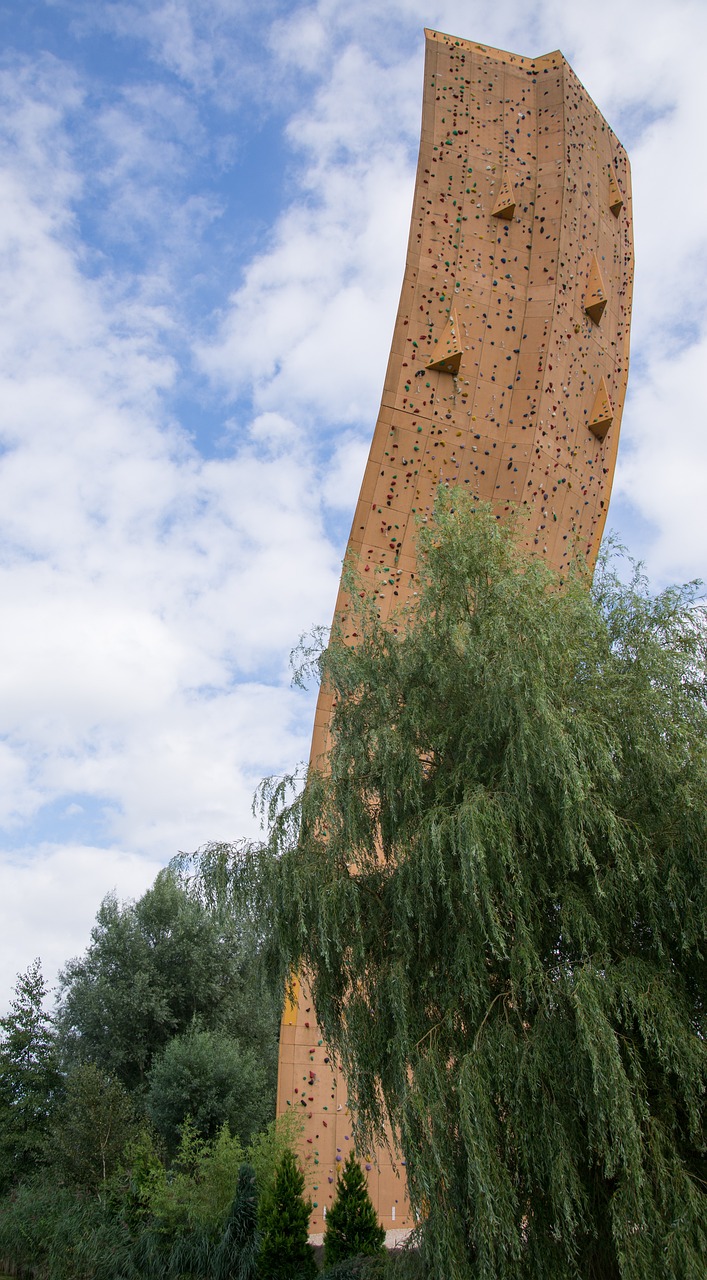 大島薰的最新動態(tài)與成就概覽