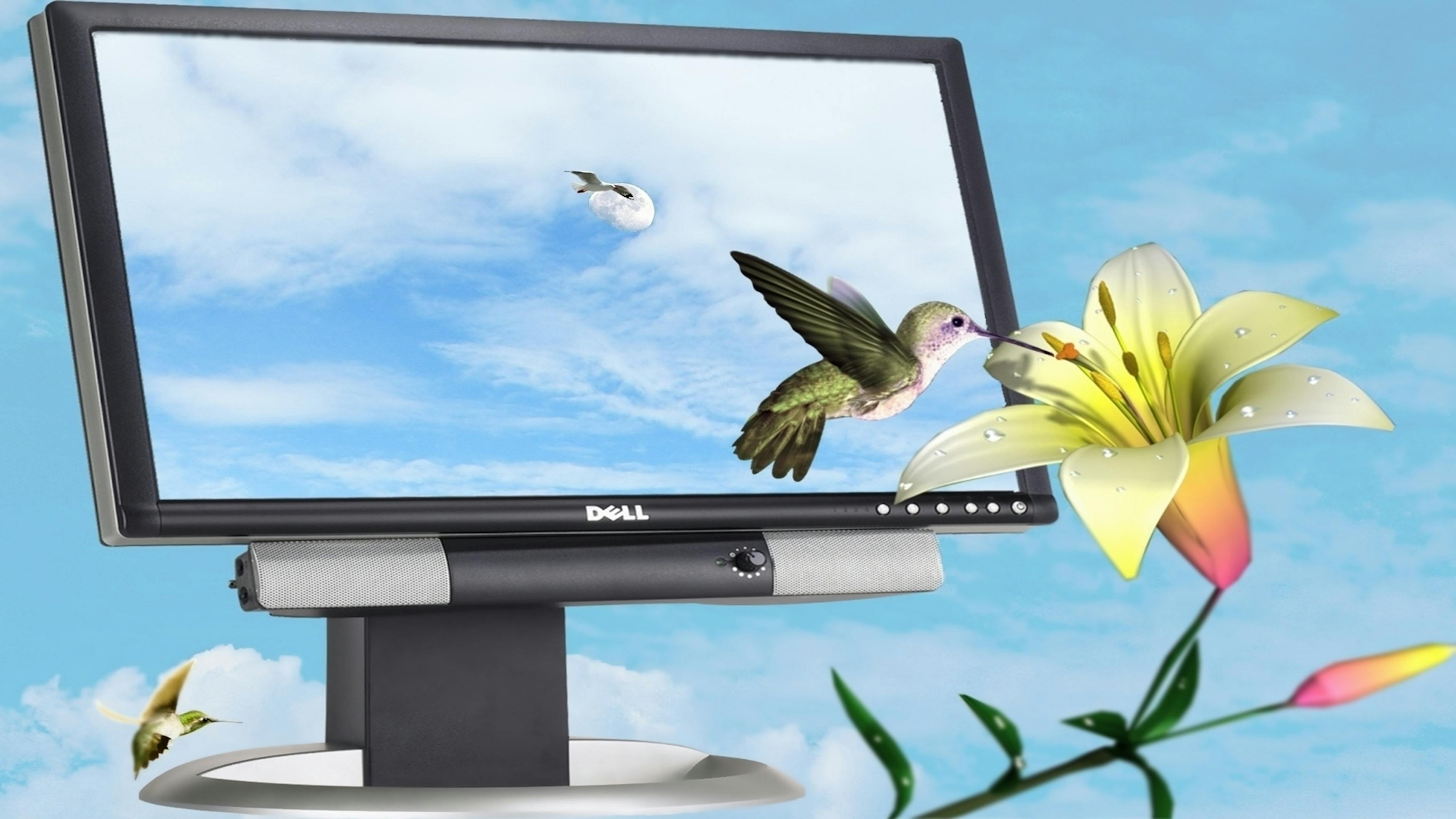 巨野新聞最新報道，縣域發展新動態與社會熱點深度解析