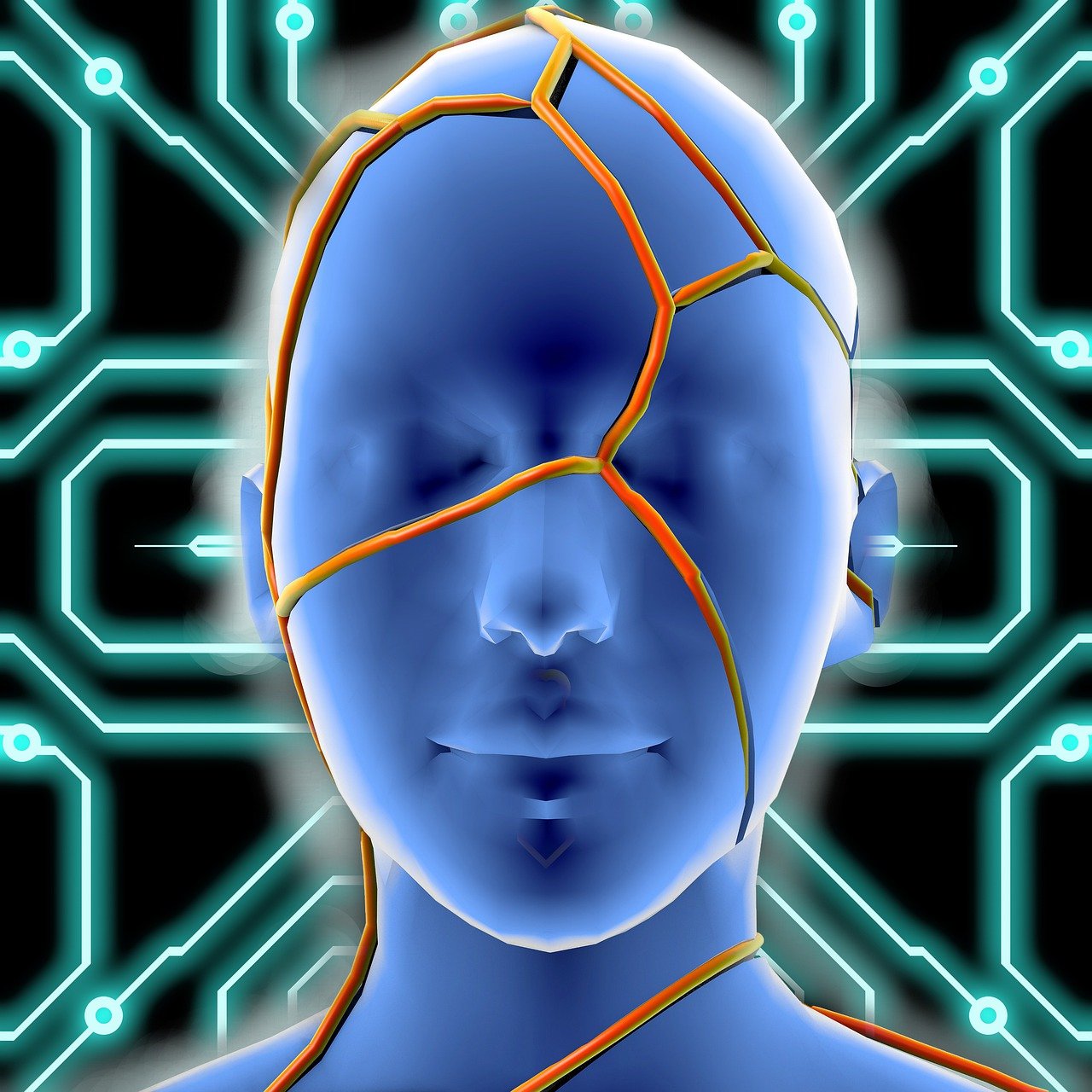 探索計算機科學魅力與未來,最新CS圖概覽