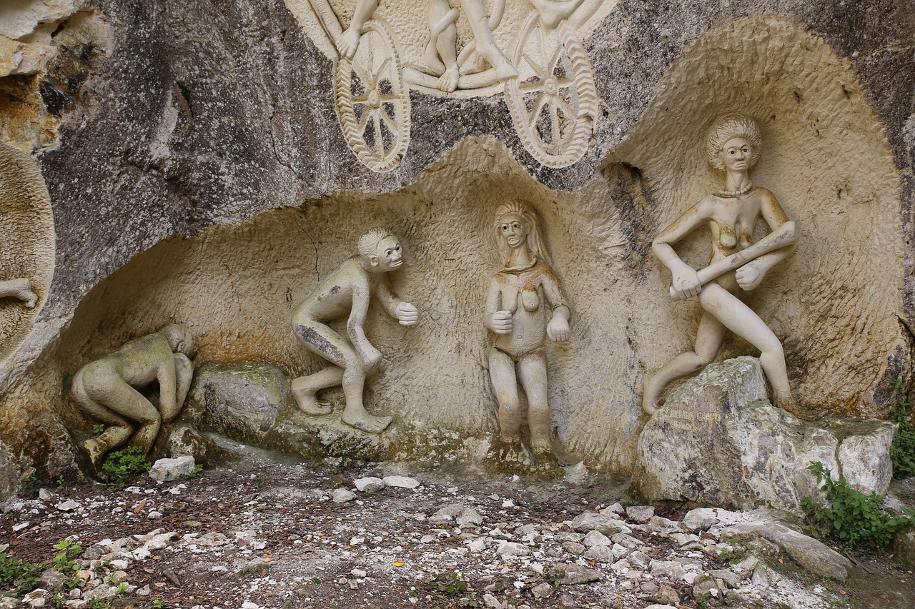 探索猴子最新天賦,靈長類動物的潛能與進化探索之路