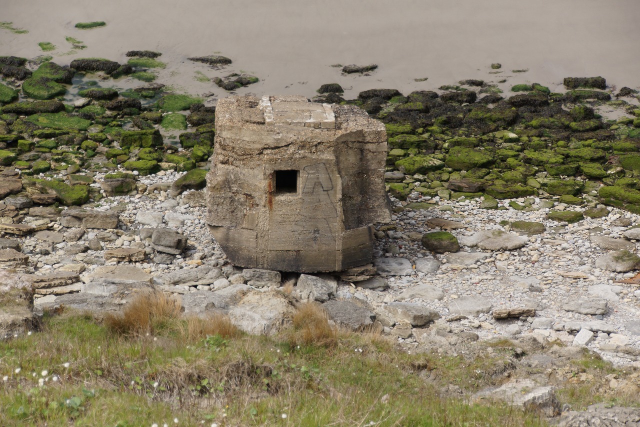 深化國防與軍隊改革,推動軍事現代化進程最新動態