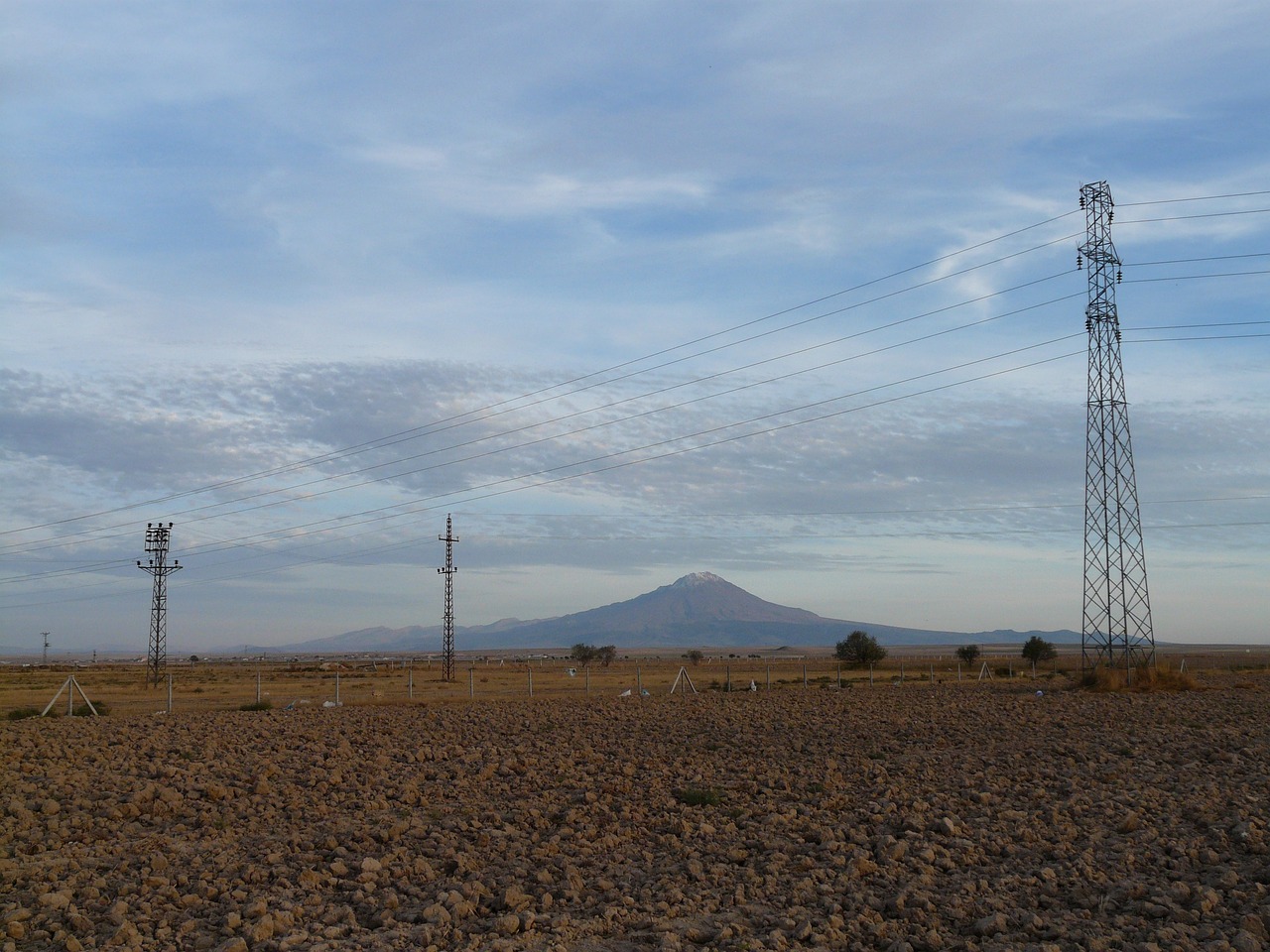 湯余銘的最新動態與成就概覽