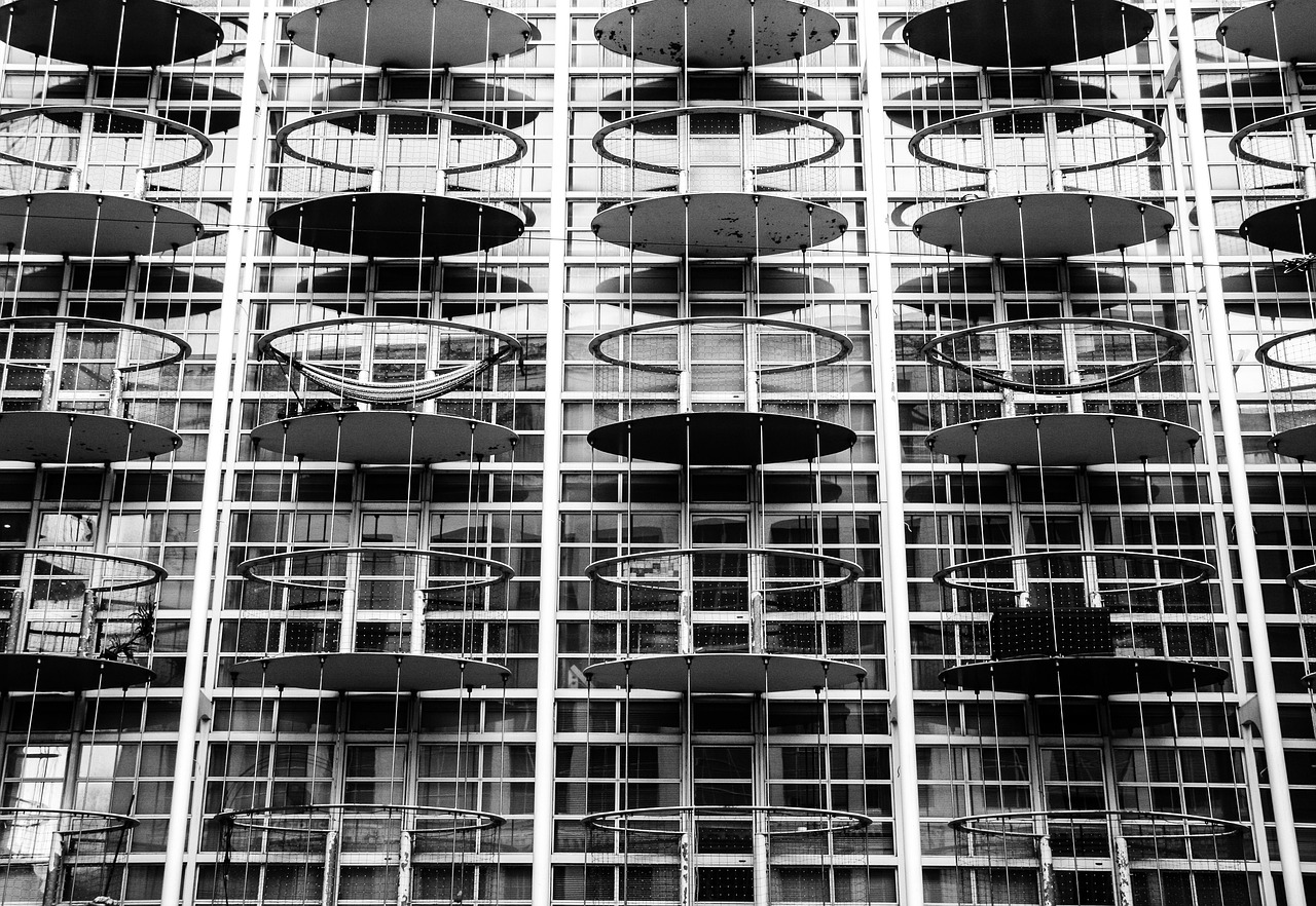 香芋最新價格分析與展望,未來趨勢解析