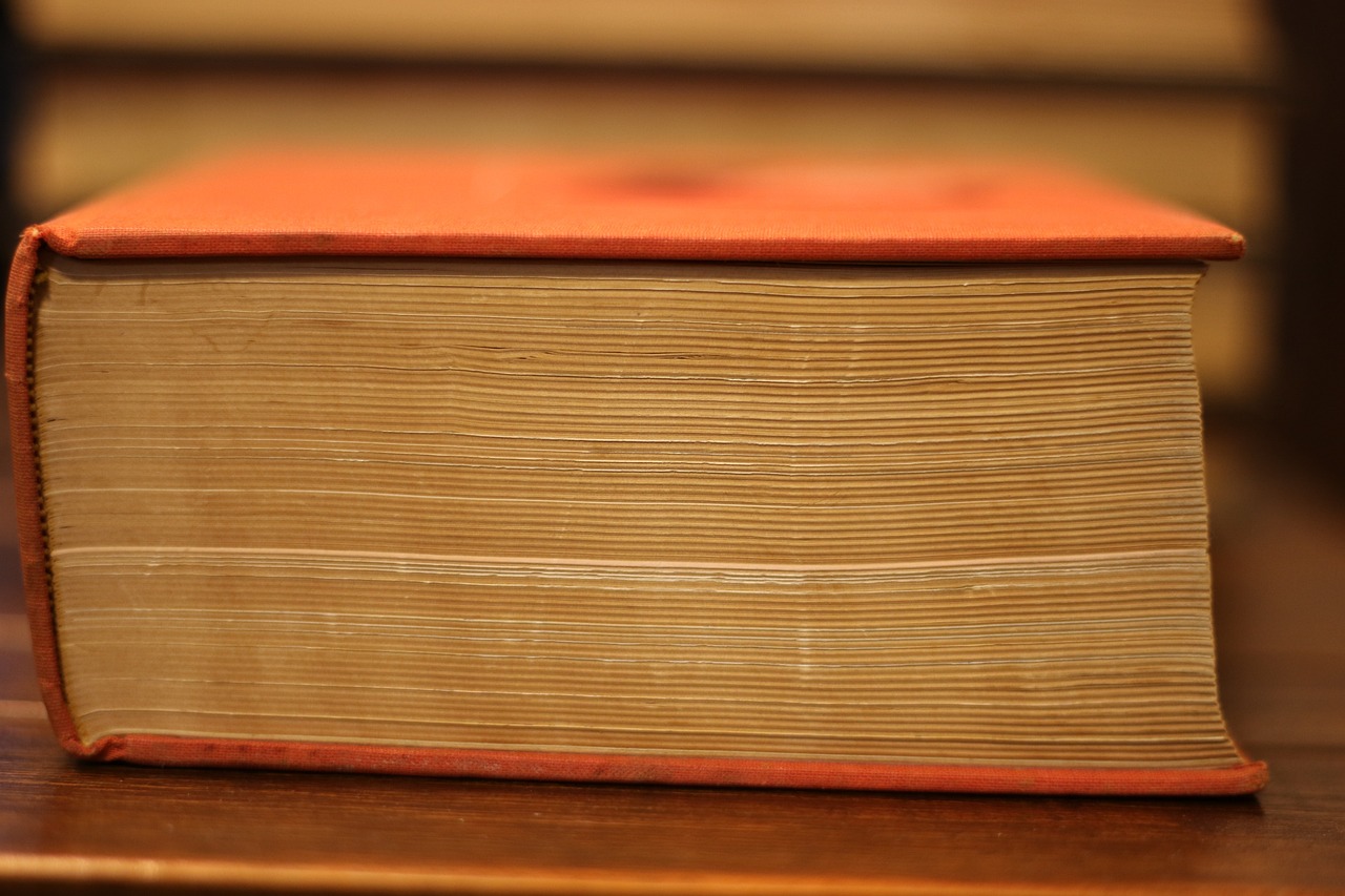 開心詞場最新動態,詞匯盛宴,智慧之門開啟