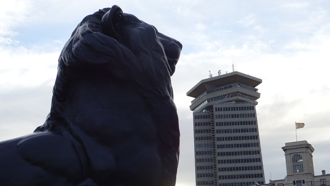 龍泉最新動(dòng)態(tài),城市發(fā)展的脈搏與未來(lái)展望