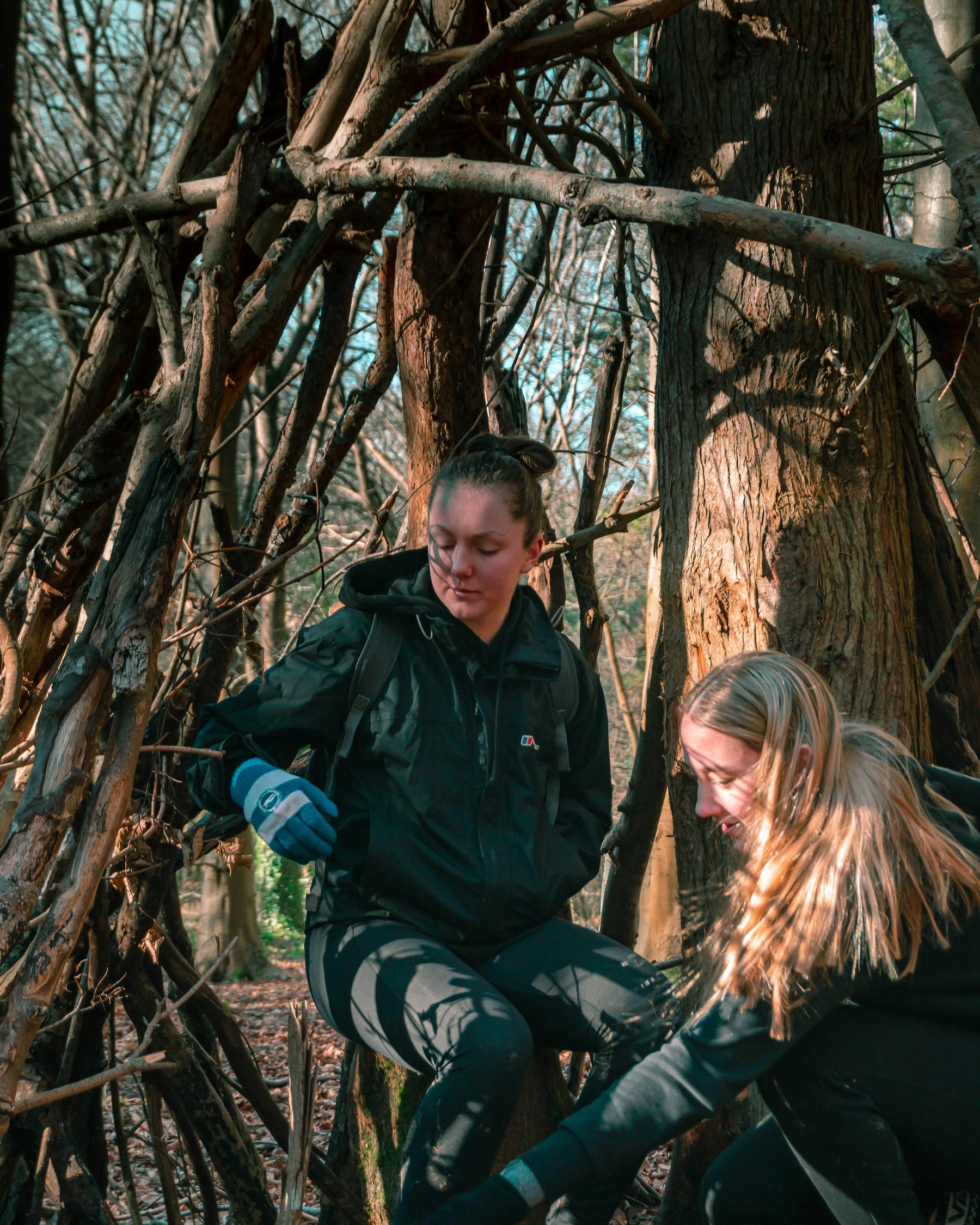海馬最新動態探索與研究,最新情況揭秘