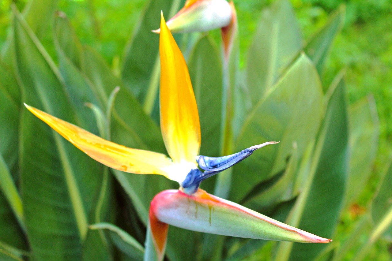 詹夏來最新動態與影響力概述