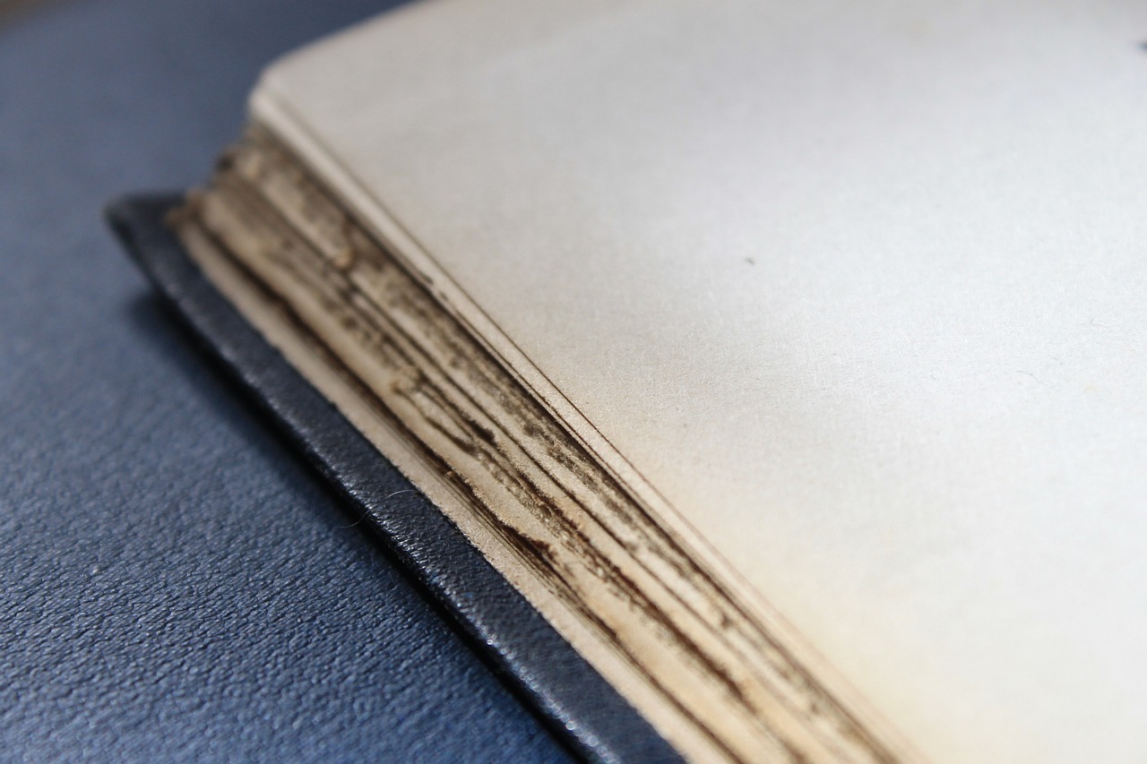 麗水店面出租最新信息與動(dòng)態(tài)更新