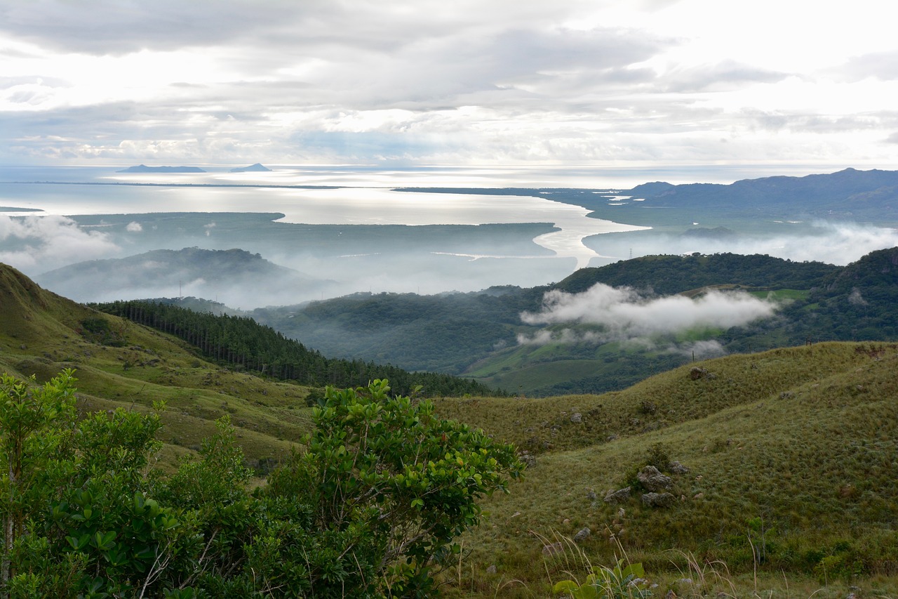 磚機最新報價與市場動態分析概覽