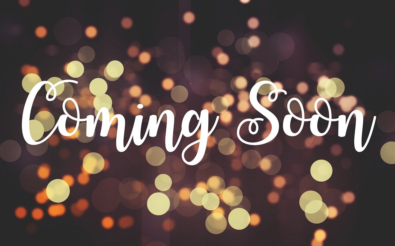 瑞安最新招聘動態,探尋人才,共筑未來