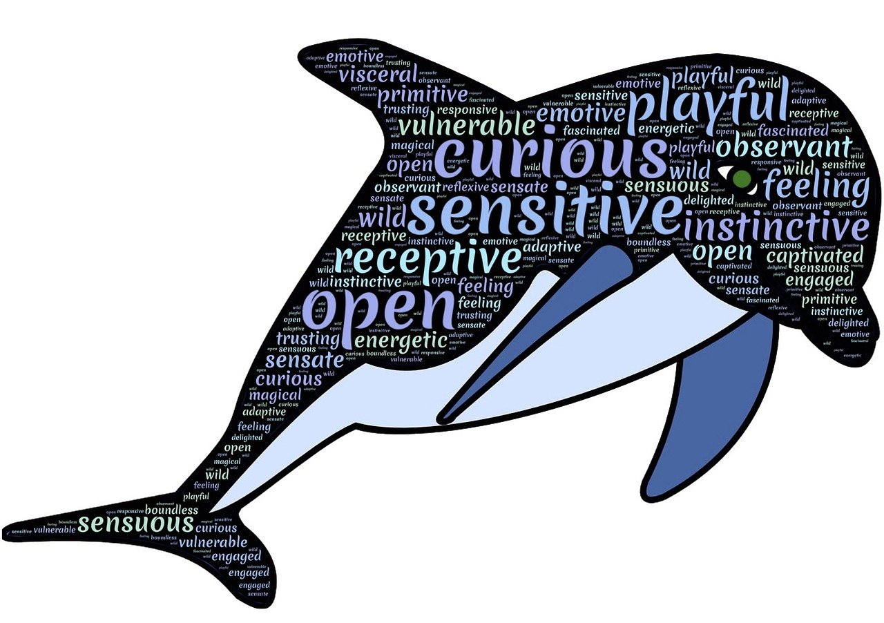 最新斗圖圖片,活力與樂趣的無限世界展現