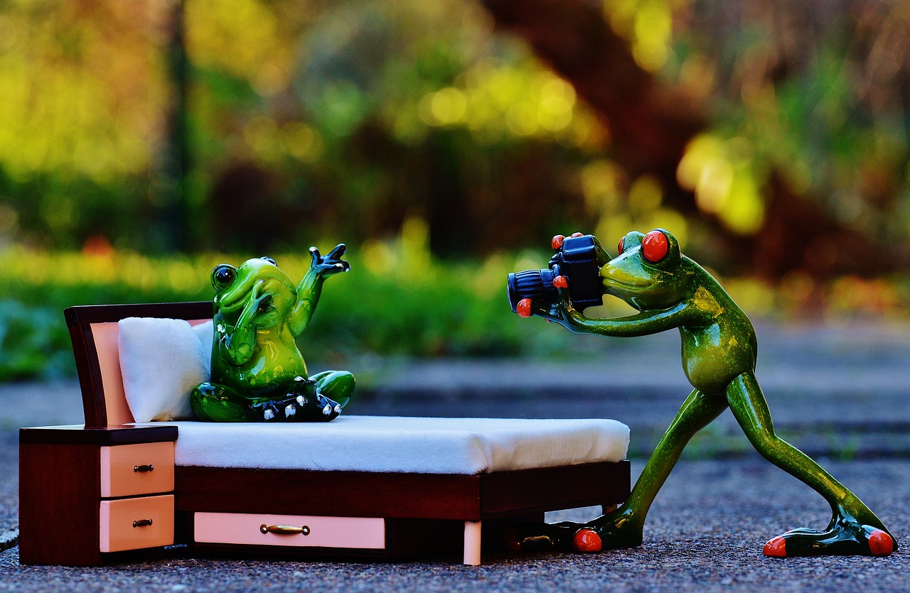 最新斗圖圖片,活力與樂趣的無限世界展現(xiàn)