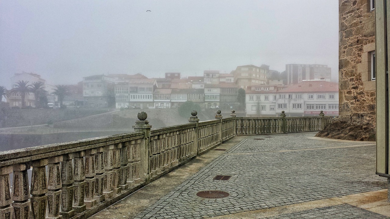 盤圓最新價格及市場趨勢深度解析,動態(tài)分析與展望