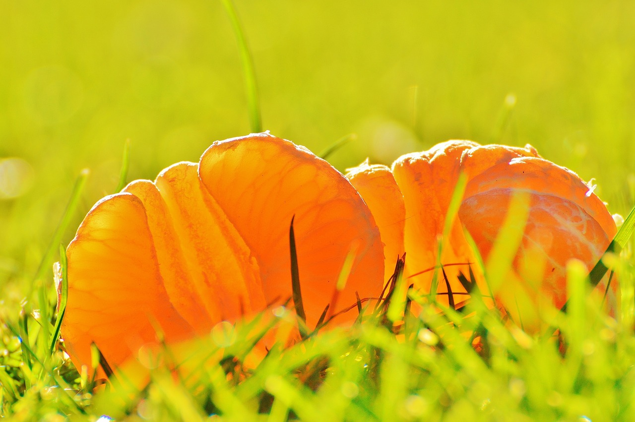 金梓博客最新動(dòng)態(tài)與深度洞察,探索未來(lái)無(wú)限潛能