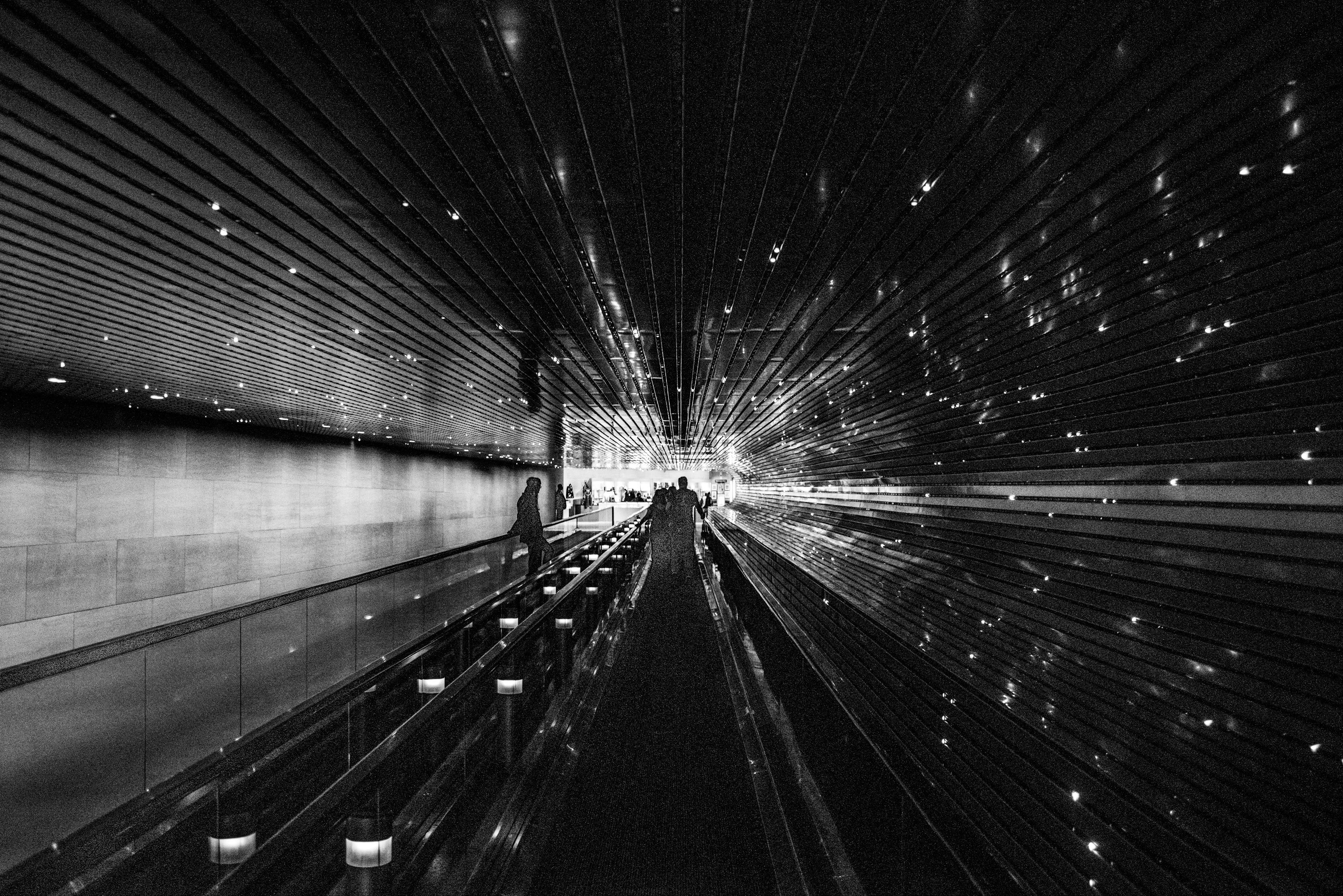 D市界新篇章，繁榮活力展望未來