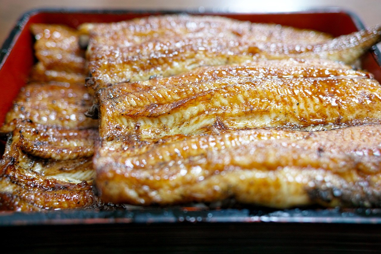 探索最新魚的做法,美味與健康兼備的烹飪之道