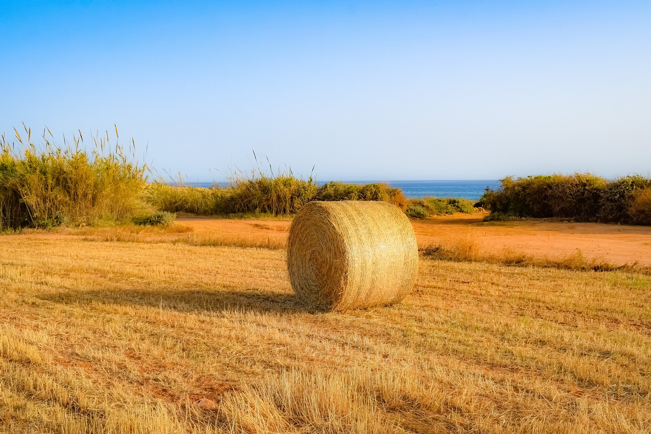 衢江最新房價動態及分析