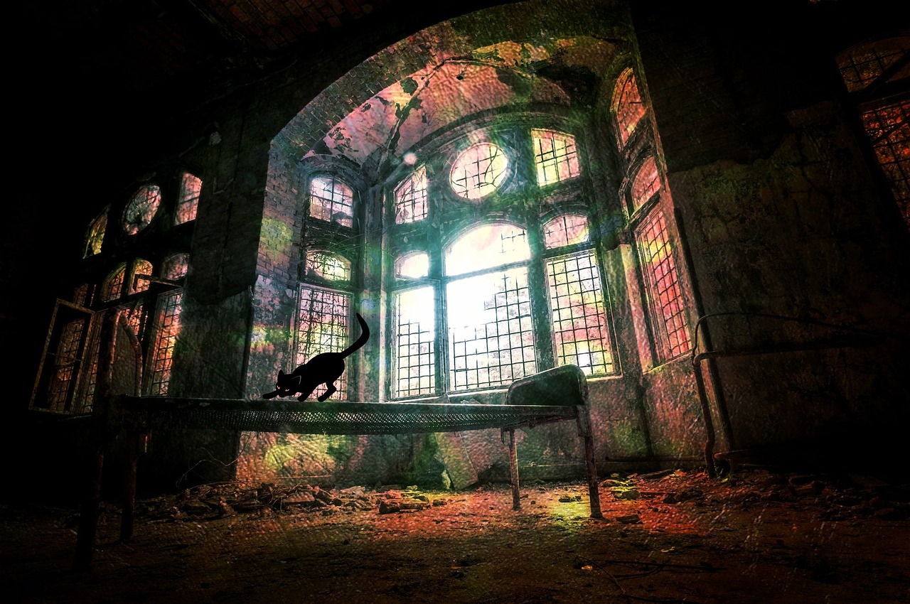 探索崖柏的神秘魅力,最新崖柏視頻欣賞