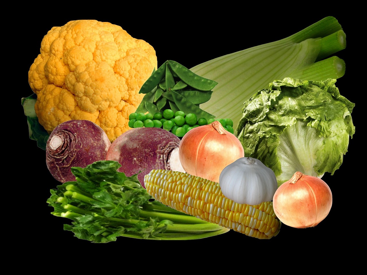 丹佛最新新聞,城市發展與社區動態更新