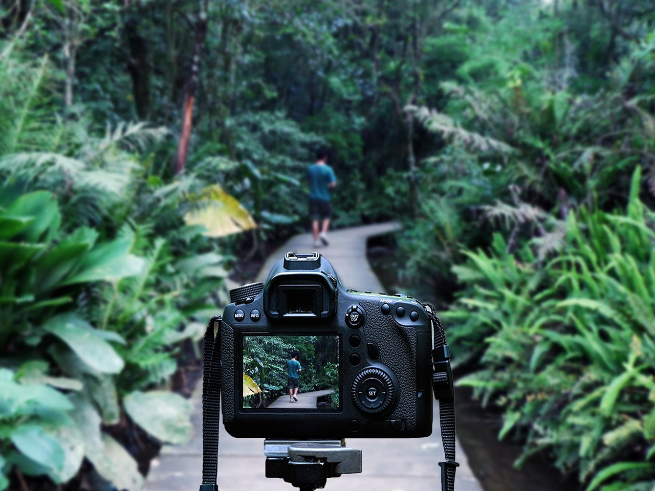 途樂最新動態(tài),豪華越野之旅的未來探索