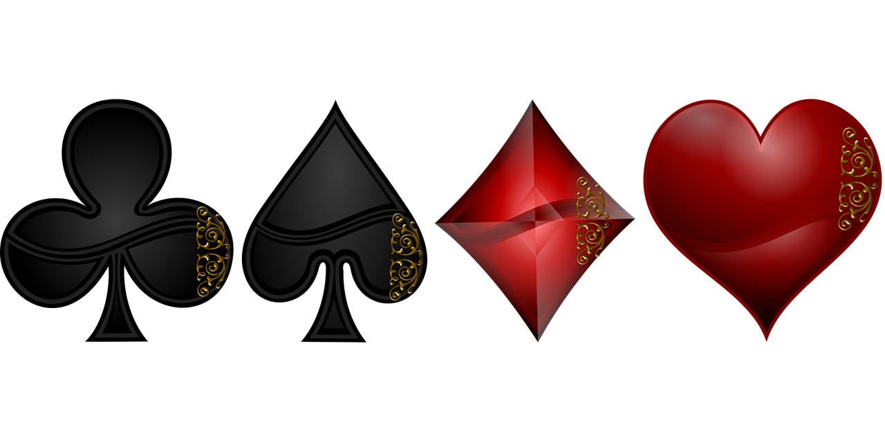 郭力夫最新動態(tài)與成就概覽